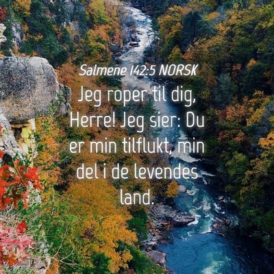 Picture 04 - Salmene 142:5 NORSK - Jeg roper til dig, Herre! Jeg sier: Du er min - Bible Verse Picture