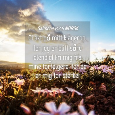 Picture 04 - Salmene 142:6 NORSK - Gi akt på mitt klagerop, for jeg er blitt såre - Bible Verse Picture