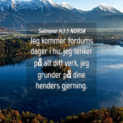 Picture 04 - Salmene 143:5 NORSK - Jeg kommer fordums dager i hu, jeg tenker på alt - Bible Verse Picture
