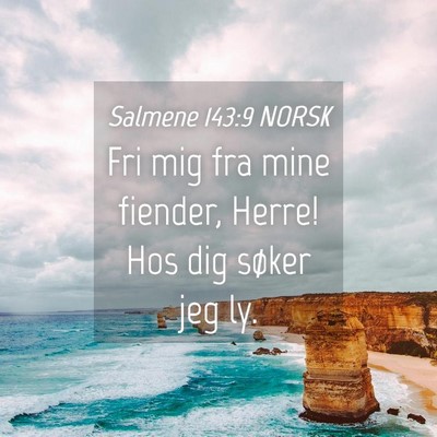Picture 04 - Salmene 143:9 NORSK - Fri mig fra mine fiender, Herre! Hos dig søker - Bible Verse Picture