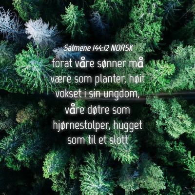 Picture 04 - Salmene 144:12 NORSK - forat våre sønner må være som planter, høit - Bible Verse Picture