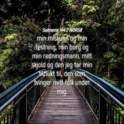 Picture 04 - Salmene 144:2 NORSK - min miskunn og min festning, min borg og min - Bible Verse Picture