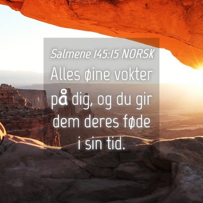 Picture 04 - Salmene 145:15 NORSK - Alles øine vokter på dig, og du gir dem deres - Bible Verse Picture