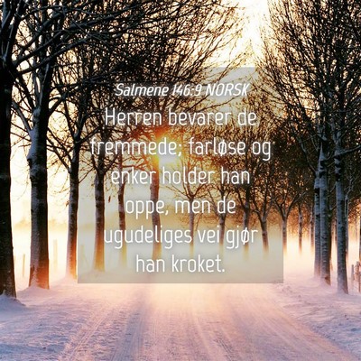 Picture 04 - Salmene 146:9 NORSK - Herren bevarer de fremmede; farløse og enker - Bible Verse Picture