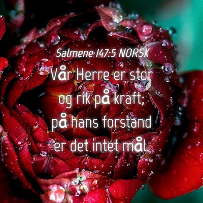 Picture 04 - Salmene 147:5 NORSK - Vår Herre er stor og rik på kraft; på hans - Bible Verse Picture