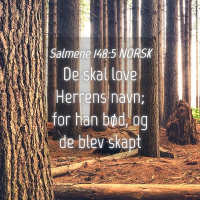 Picture 04 - Salmene 148:5 NORSK - De skal love Herrens navn; for han bød, og de - Bible Verse Picture