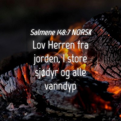 Picture 04 - Salmene 148:7 NORSK - Lov Herren fra jorden, I store sjødyr og alle - Bible Verse Picture