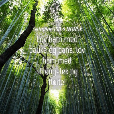Picture 04 - Salmene 150:4 NORSK - Lov ham med pauke og dans, lov ham med strengelek - Bible Verse Picture