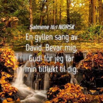 Picture 04 - Salmene 16:1 NORSK - En gyllen sang av David. Bevar mig, Gud! for jeg - Bible Verse Picture
