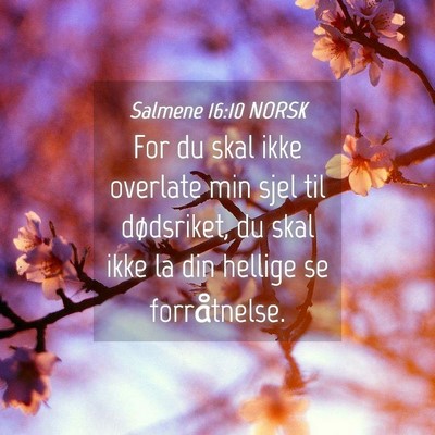 Picture 04 - Salmene 16:10 NORSK - For du skal ikke overlate min sjel til - Bible Verse Picture