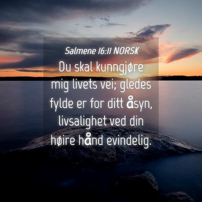 Picture 04 - Salmene 16:11 NORSK - Du skal kunngjøre mig livets vei; gledes fylde - Bible Verse Picture