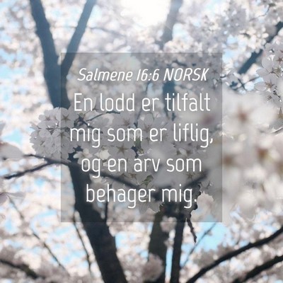 Picture 04 - Salmene 16:6 NORSK - En lodd er tilfalt mig som er liflig, og en arv - Bible Verse Picture