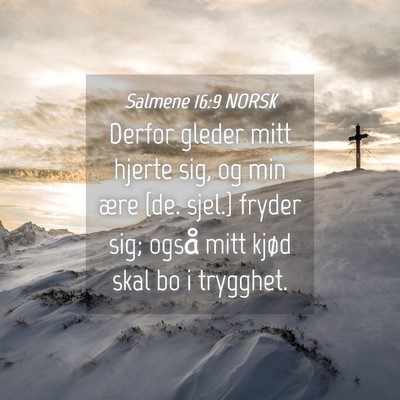 Picture 04 - Salmene 16:9 NORSK - Derfor gleder mitt hjerte sig, og min ære {de. - Bible Verse Picture