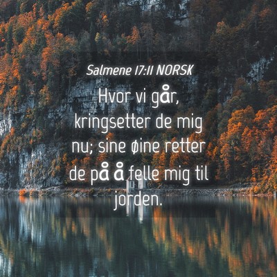 Picture 04 - Salmene 17:11 NORSK - Hvor vi går, kringsetter de mig nu; sine øine - Bible Verse Picture