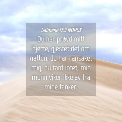 Picture 04 - Salmene 17:3 NORSK - Du har prøvd mitt hjerte, gjestet det om natten, - Bible Verse Picture