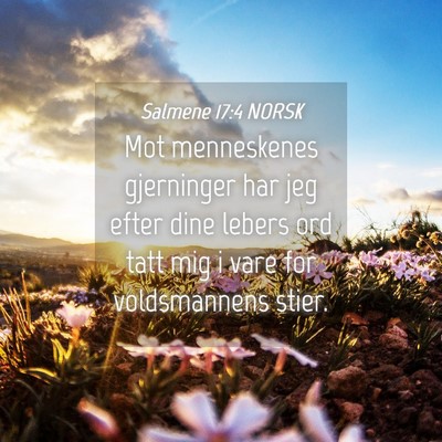 Picture 04 - Salmene 17:4 NORSK - Mot menneskenes gjerninger har jeg efter dine - Bible Verse Picture
