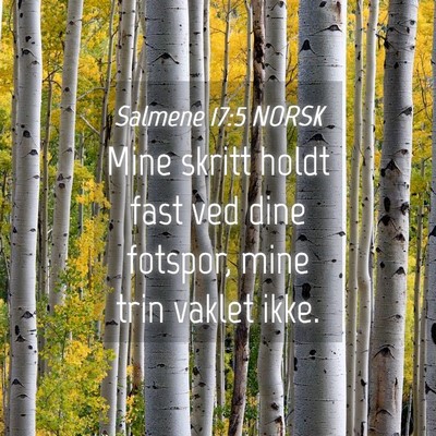 Picture 04 - Salmene 17:5 NORSK - Mine skritt holdt fast ved dine fotspor, mine - Bible Verse Picture