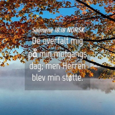 Picture 04 - Salmene 18:18 NORSK - De overfalt mig på min motgangs dag; men Herren - Bible Verse Picture