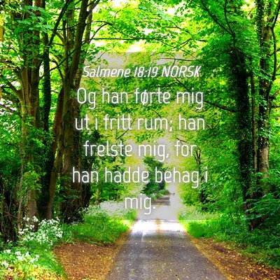 Picture 04 - Salmene 18:19 NORSK - Og han førte mig ut i fritt rum; han frelste - Bible Verse Picture