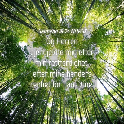 Picture 04 - Salmene 18:24 NORSK - Og Herren gjengjeldte mig efter min - Bible Verse Picture