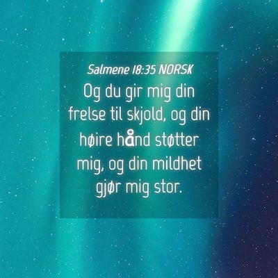 Picture 04 - Salmene 18:35 NORSK - Og du gir mig din frelse til skjold, og din - Bible Verse Picture