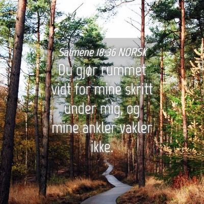 Picture 04 - Salmene 18:36 NORSK - Du gjør rummet vidt for mine skritt under mig, - Bible Verse Picture