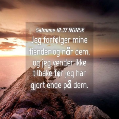 Picture 04 - Salmene 18:37 NORSK - Jeg forfølger mine fiender og når dem, og jeg - Bible Verse Picture