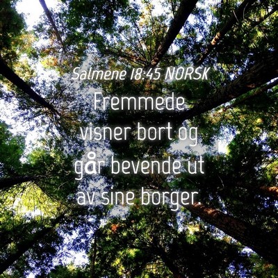 Picture 04 - Salmene 18:45 NORSK - Fremmede visner bort og går bevende ut av sine - Bible Verse Picture