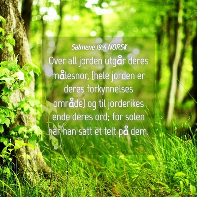 Picture 04 - Salmene 19:4 NORSK - Over all jorden utgår deres målesnor, {hele - Bible Verse Picture