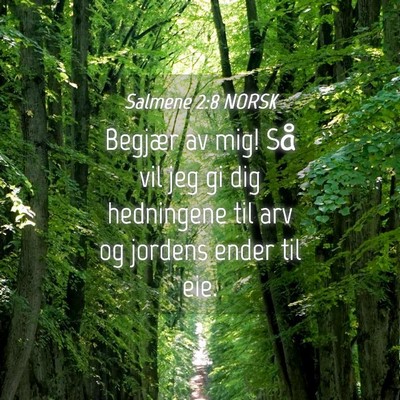 Picture 04 - Salmene 2:8 NORSK - Begjær av mig! Så vil jeg gi dig hedningene til - Bible Verse Picture