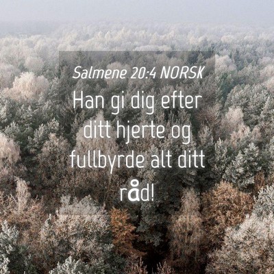 Picture 04 - Salmene 20:4 NORSK - Han gi dig efter ditt hjerte og fullbyrde alt - Bible Verse Picture