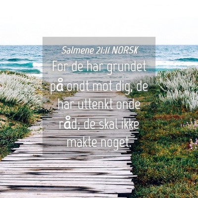 Picture 04 - Salmene 21:11 NORSK - For de har grundet på ondt mot dig, de har - Bible Verse Picture