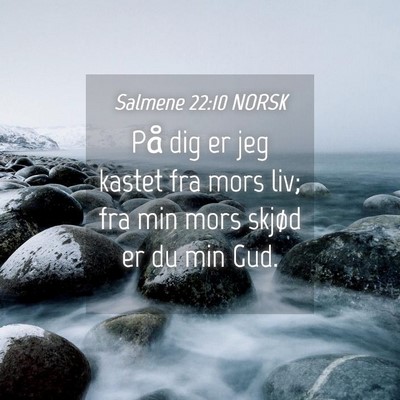 Picture 04 - Salmene 22:10 NORSK - På dig er jeg kastet fra mors liv; fra min mors - Bible Verse Picture