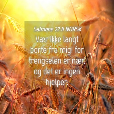 Picture 04 - Salmene 22:11 NORSK - Vær ikke langt borte fra mig! for trengselen er - Bible Verse Picture