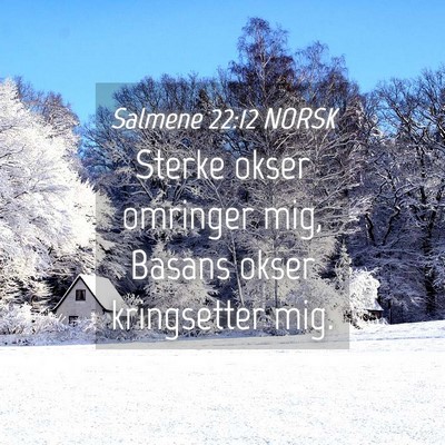 Picture 04 - Salmene 22:12 NORSK - Sterke okser omringer mig, Basans okser - Bible Verse Picture