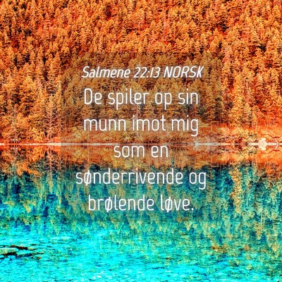 Picture 04 - Salmene 22:13 NORSK - De spiler op sin munn imot mig som en - Bible Verse Picture