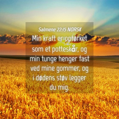Picture 04 - Salmene 22:15 NORSK - Min kraft er optørket som et potteskår, og min - Bible Verse Picture