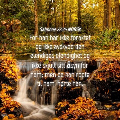 Picture 04 - Salmene 22:24 NORSK - For han har ikke foraktet og ikke avskydd den - Bible Verse Picture