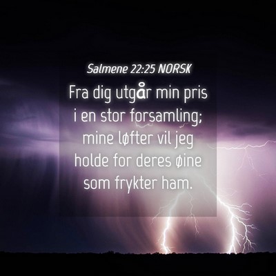 Picture 04 - Salmene 22:25 NORSK - Fra dig utgår min pris i en stor forsamling; - Bible Verse Picture