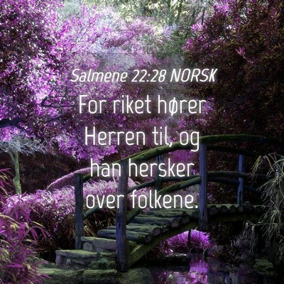 Picture 04 - Salmene 22:28 NORSK - For riket hører Herren til, og han hersker over - Bible Verse Picture