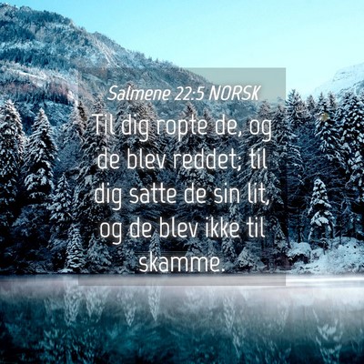 Picture 04 - Salmene 22:5 NORSK - Til dig ropte de, og de blev reddet; til dig - Bible Verse Picture