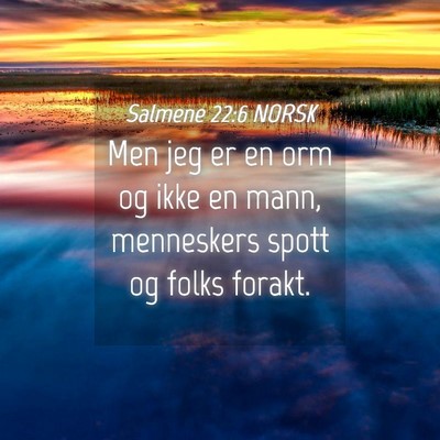 Picture 04 - Salmene 22:6 NORSK - Men jeg er en orm og ikke en mann, menneskers - Bible Verse Picture