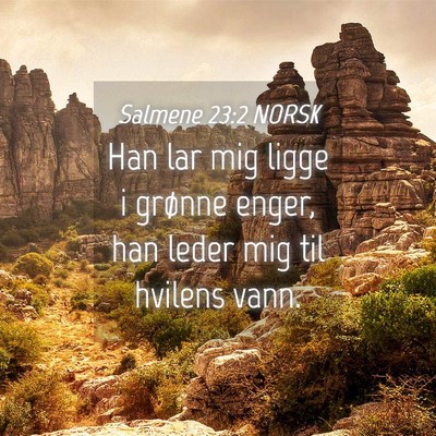 Picture 04 - Salmene 23:2 NORSK - Han lar mig ligge i grønne enger, han leder mig - Bible Verse Picture