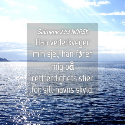 Picture 04 - Salmene 23:3 NORSK - Han vederkveger min sjel, han fører mig på - Bible Verse Picture