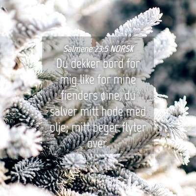 Picture 04 - Salmene 23:5 NORSK - Du dekker bord for mig like for mine fienders - Bible Verse Picture