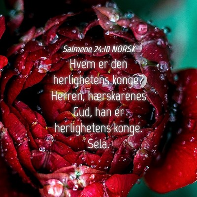 Picture 04 - Salmene 24:10 NORSK - Hvem er den herlighetens konge? Herren, - Bible Verse Picture