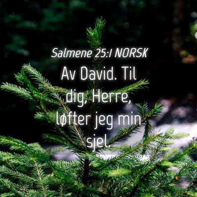 Picture 04 - Salmene 25:1 NORSK - Av David. Til dig, Herre, løfter jeg min - Bible Verse Picture