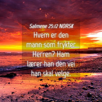 Picture 04 - Salmene 25:12 NORSK - Hvem er den mann som frykter Herren? Ham lærer - Bible Verse Picture