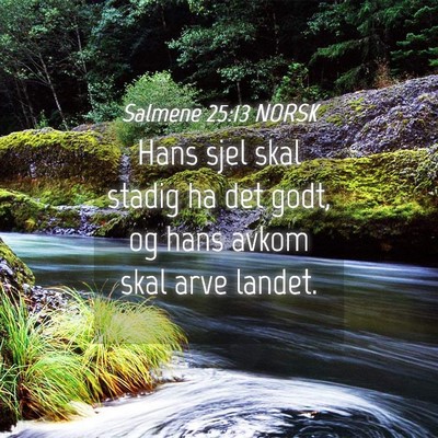 Picture 04 - Salmene 25:13 NORSK - Hans sjel skal stadig ha det godt, og hans avkom - Bible Verse Picture