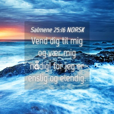 Picture 04 - Salmene 25:16 NORSK - Vend dig til mig og vær mig nådig! for jeg er - Bible Verse Picture
